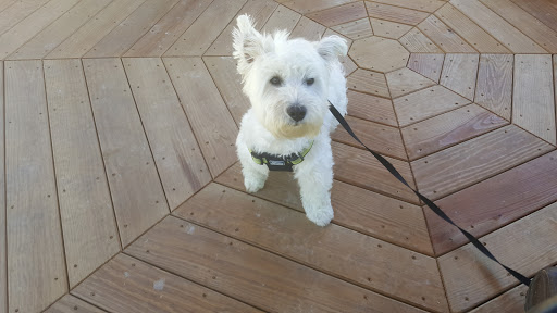 Pet Supply Store «Pet Valu», reviews and photos, 416 Suncrest Towne Centre Drive, Morgantown, WV 26505, USA