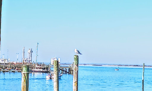 Supermarket «King Kullen», reviews and photos, 405 William Floyd Pkwy, Shirley, NY 11967, USA