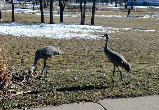 Recreation Center «Warner Park Community Recreation Center», reviews and photos, 1625 Northport Dr, Madison, WI 53704, USA