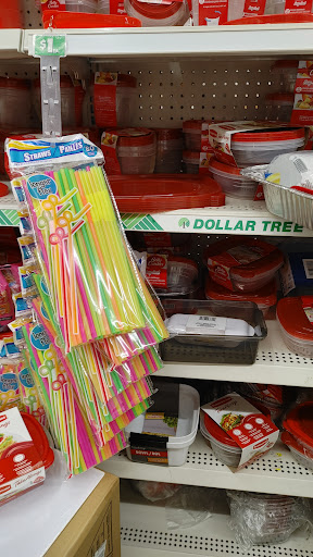 Dollar Store «Dollar Tree», reviews and photos, 646 Stewart Ave, Garden City, NY 11530, USA