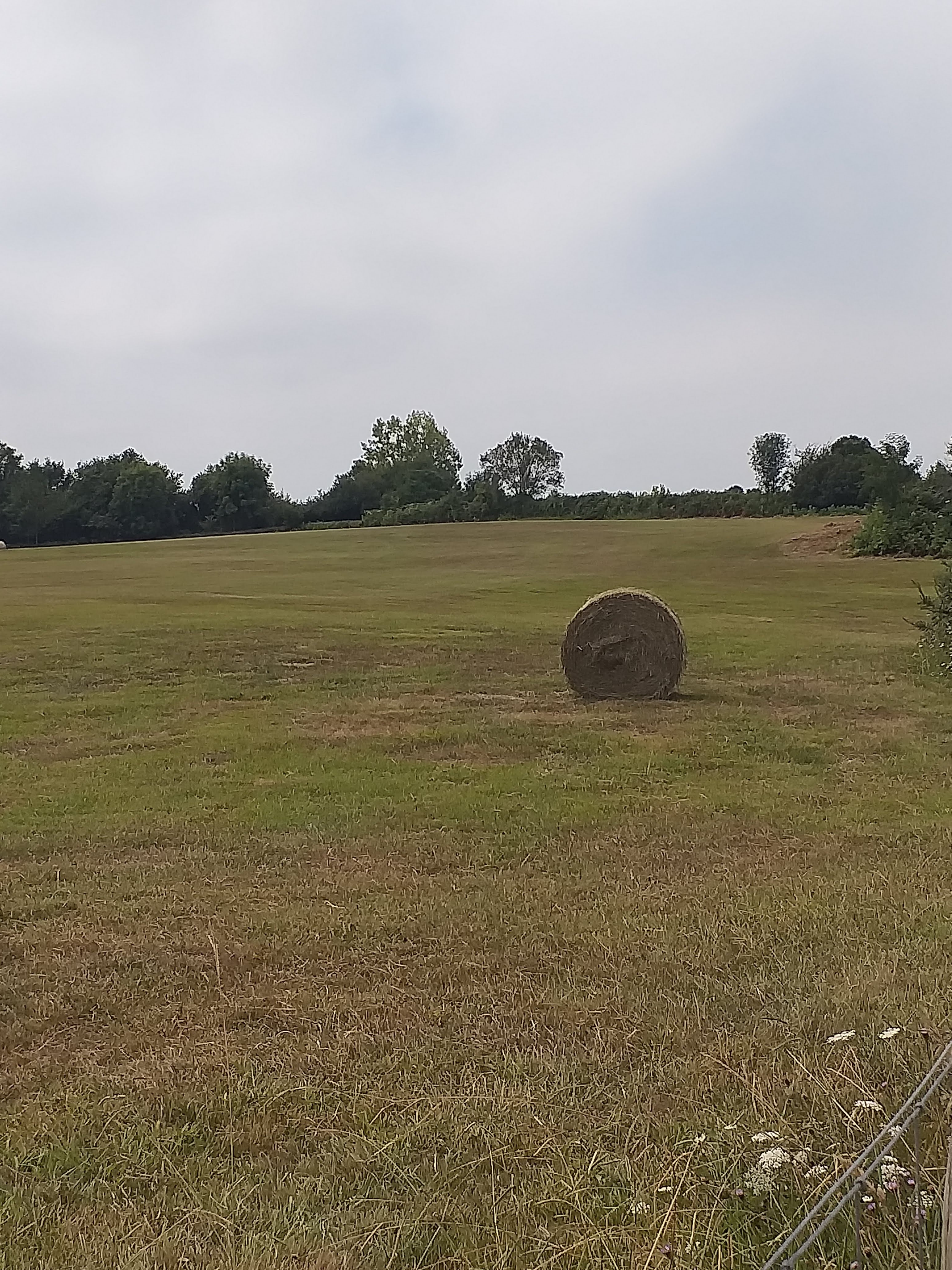 Photo n° 2 de l'avis de Isabel.e fait le 12/08/2022 à 13:40