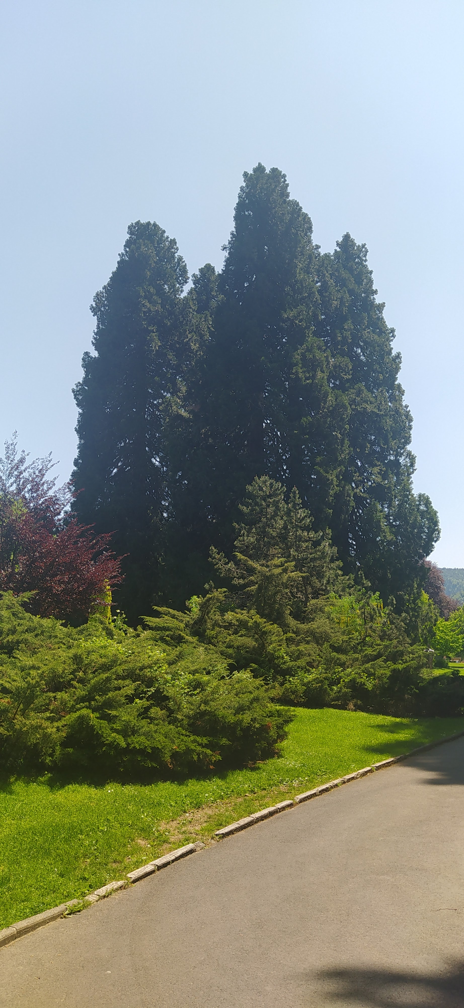 Photo n° 1 de l'avis de Cassiopée.A fait le 29/05/2023 à 17:03