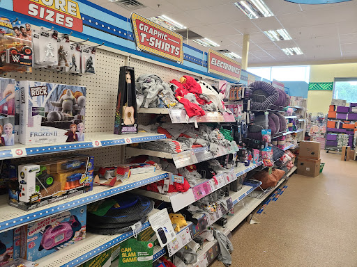 Dollar Store «Dollar Tree», reviews and photos, 1455 Peachtree Pkwy, Cumming, GA 30041, USA
