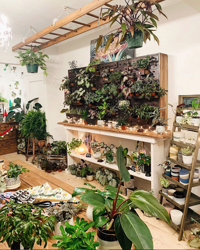 The Plant Shack (East Aurora) image 3