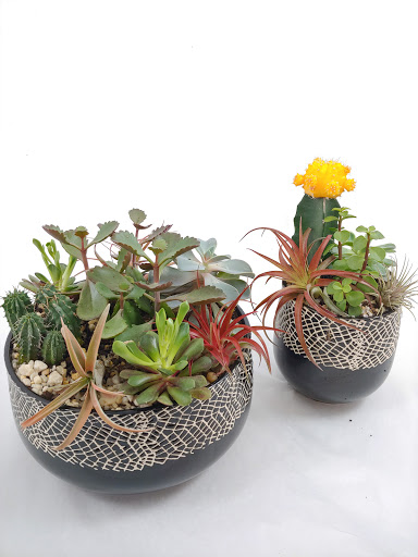 Florist «Tiger Lily Florist Inc.», reviews and photos, 131 Spring St, Charleston, SC 29403, USA