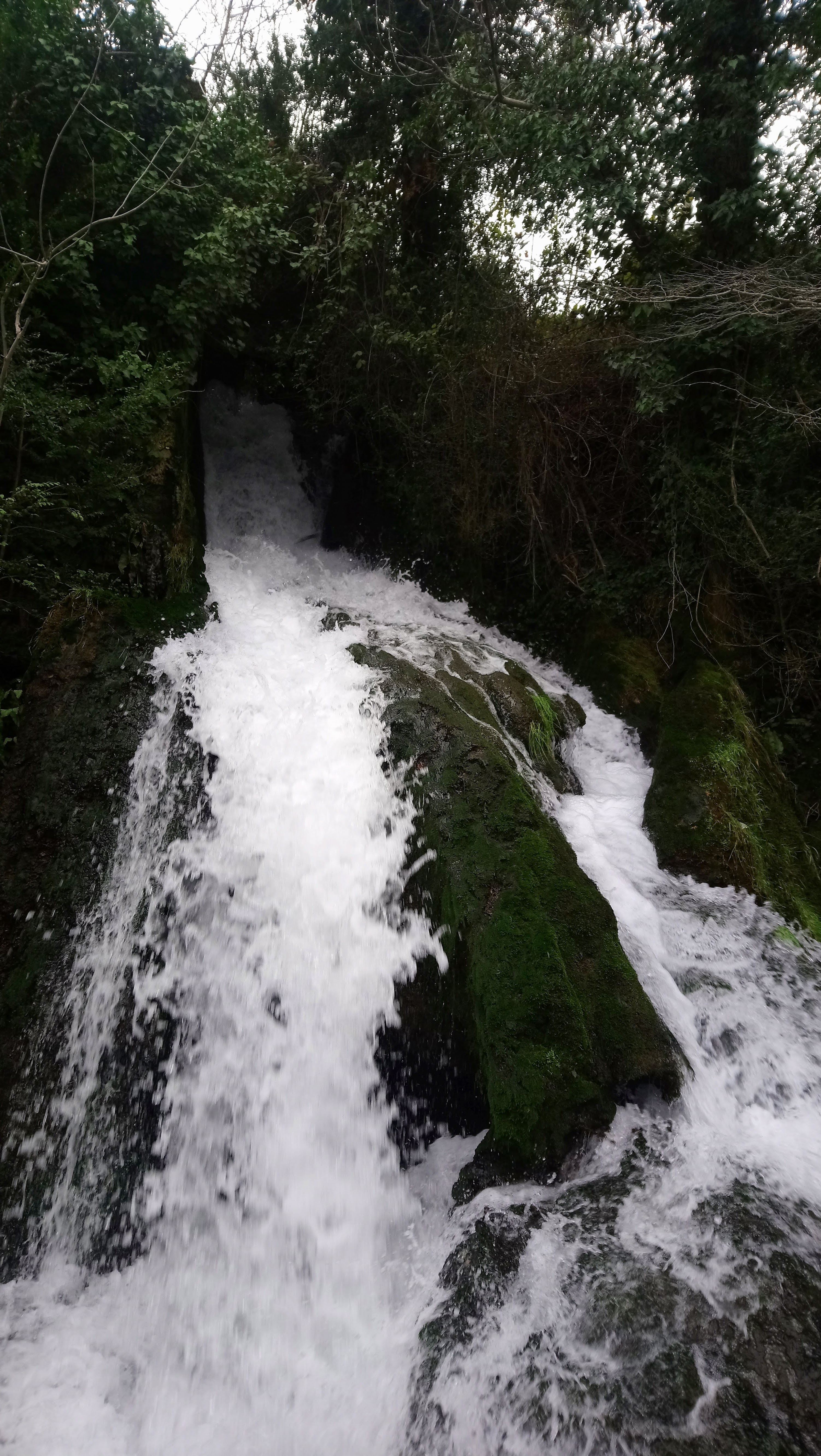 Photo n° 12 de l'avis de Philippe.E fait le 25/02/2018 à 16:42
