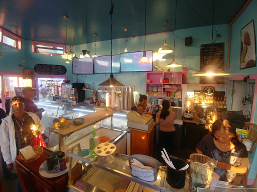 Gift Shop «Alki Surf Shop», reviews and photos, 2622 Alki Ave SW, Seattle, WA 98116, USA