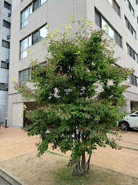 リハビリパーク千種