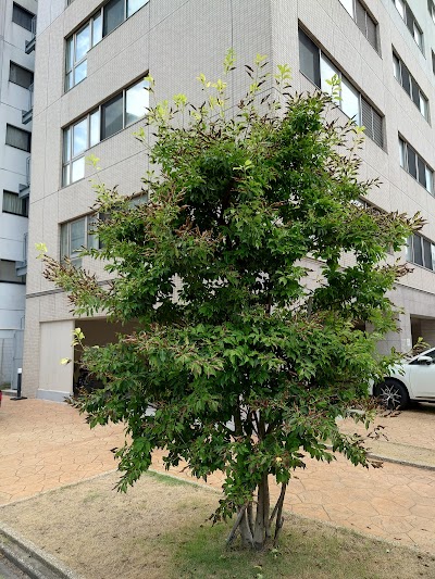 リハビリパーク千種