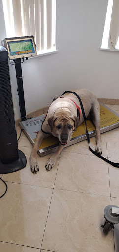 Downey Veterinary Hospital image