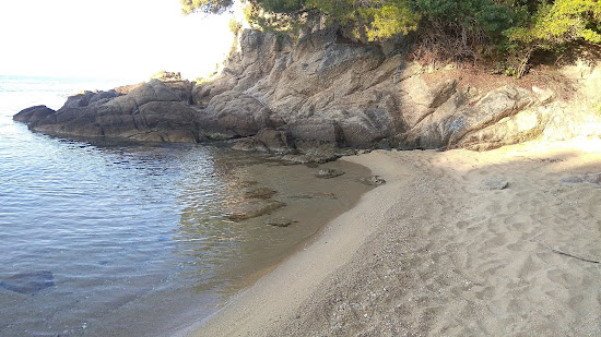 Fulvia's beach