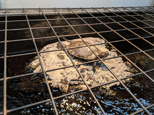 Pet Supply Store «Petco Animal Supplies», reviews and photos, 1901 Madison Ave #610, Mankato, MN 56001, USA