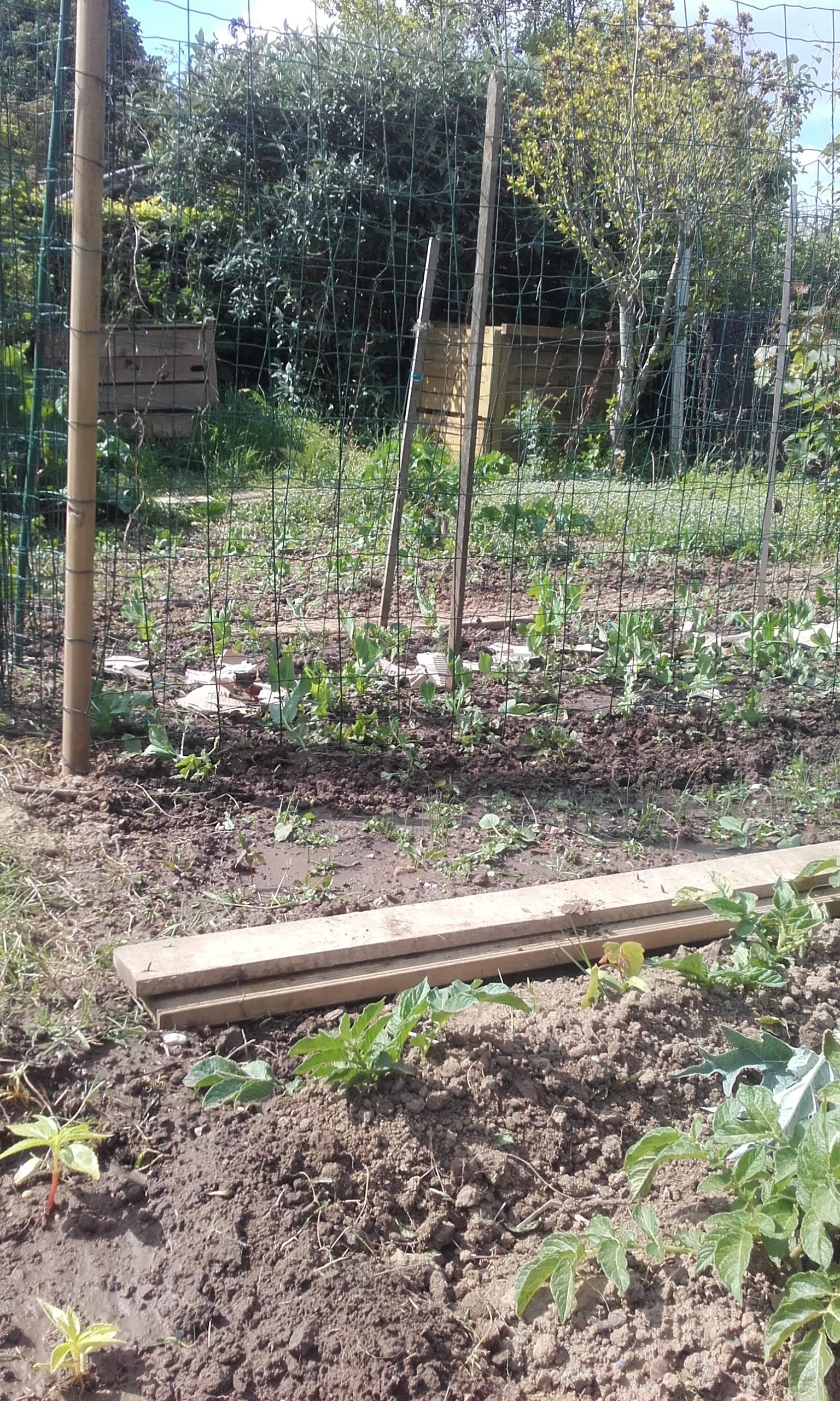 Photo n° 4 de l'avis de Olivier.i fait le 04/05/2017 à 16:04