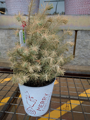 Home Improvement Store «The Home Depot», reviews and photos, 2635 Peachtree Pkwy, Suwanee, GA 30024, USA