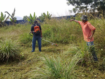 Perkhidmatan Potong rumput, tebas rumput Penang, Racun rumput Bukit Mertajam, Pulau Pinang