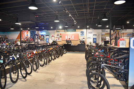 Trek Bicycle Westlake Village image