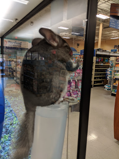 PetSmart