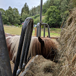 Photo n°1 de l'avis de Chrisp. fait le 24/06/2018 à 20:06 sur le  Waldhotel Gille Boxbach à Breidenbach