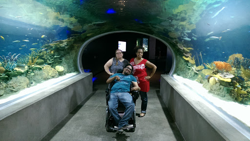 Tourist Attraction «OdySea Mirror Maze», reviews and photos, 9500 East Vía de Ventura #200, Scottsdale, AZ 85256, USA