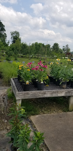 Willodell Nursery Garden image 7