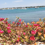 Photo n°2 de l'avis de Daniela.i fait le 21/08/2019 à 05:38 sur le  Ristorante Lo Scoglio à Porto Cesareo