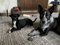 Boston Fetch - Photo 5 - Car repair in Boston, MA, Boston