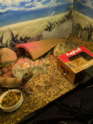 Pet Supply Store «Pet Food Express», reviews and photos, 5148 Stevens Creek Blvd, San Jose, CA 95129, USA