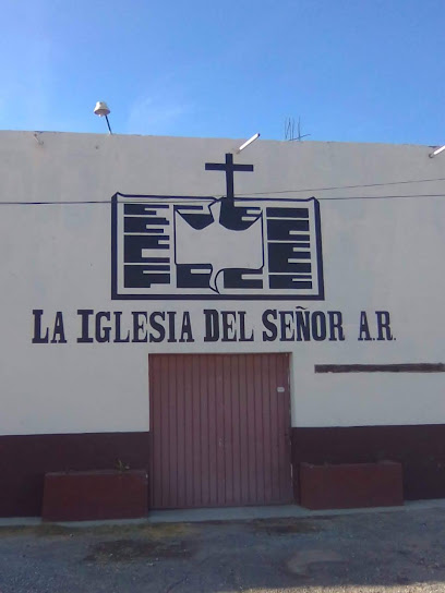 LIDS Victoria Puebla