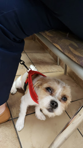 Pet Supply Store «Pet Supplies Plus», reviews and photos, 4923 Sheridan St, Hollywood, FL 33021, USA