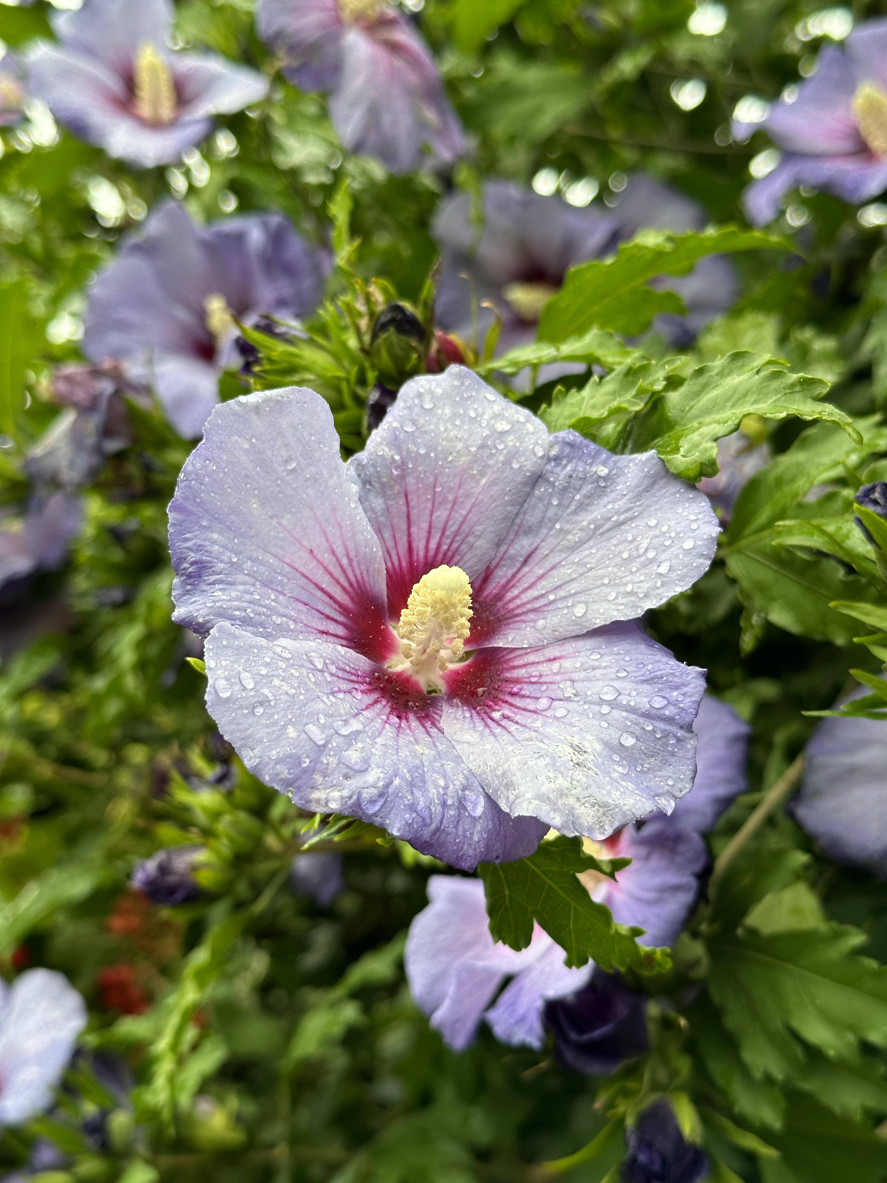 Photo n° 6 de l'avis de P.d fait le 28/08/2023 à 06:51