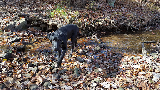 National Park «First State National Historical Park - Peters Rock Parking», reviews and photos, Thompsons Bridge Rd, Wilmington, DE 19803, USA