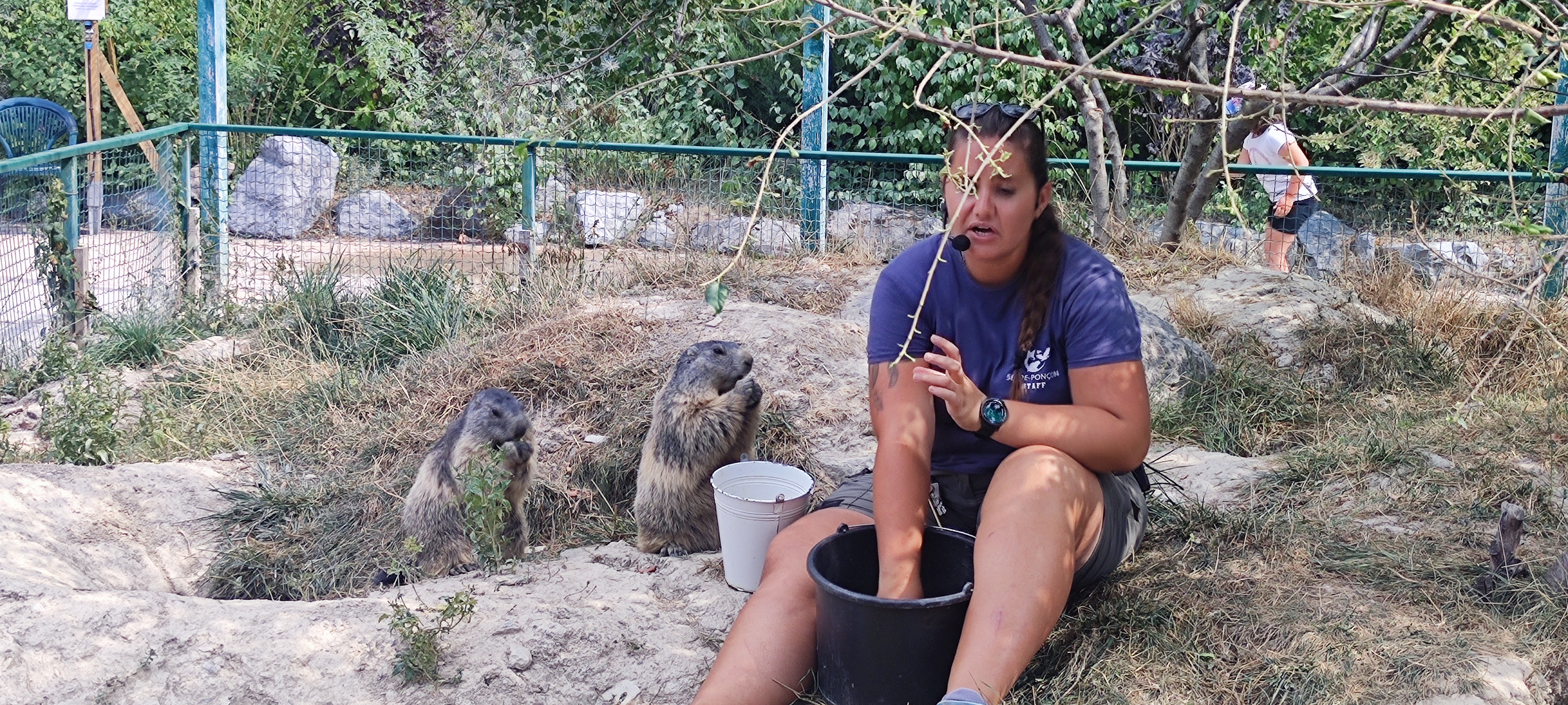 Photo n° 1 de l'avis de gilles.a fait le 24/08/2023 à 20:17