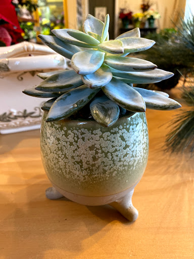 Florist «Dakota Floral Inc», reviews and photos, 13704 Co Rd 11, Burnsville, MN 55337, USA