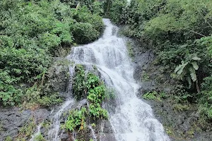 Wisik Falls image