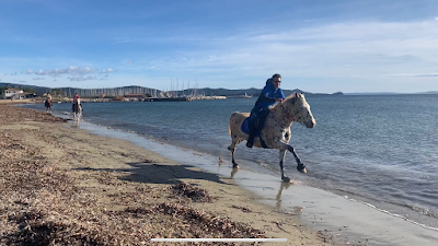 Aventure Cheval - Point de départ randonnées à La Crau
