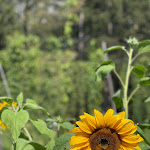 Photo n°4 de l'avis de Michele.o fait le 21/08/2023 à 13:14 sur le  Birrificio di Fiemme à Masi di Cavalese