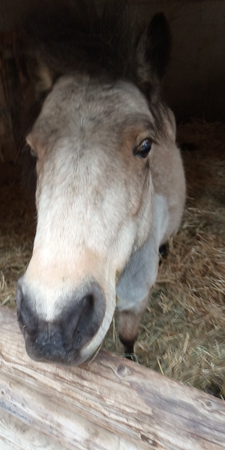 Photo n° 14 de l'avis de Cavalière.' fait le 30/06/2019 à 18:26