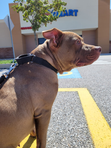 Pet Supply Store «PetSmart», reviews and photos, 181 Wilson Ave, Hanover, PA 17331, USA