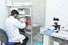 Dr. B. Lal Clinical Laboratory (house No.12, Lajpat Nagar, Alwar)