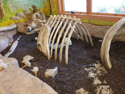 Nature Preserve «Stage Nature Center», reviews and photos, 6685 Coolidge Hwy, Troy, MI 48098, USA