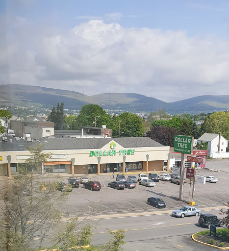 Dollar Store «Dollar Tree», reviews and photos, 208 Meadow Ave, Scranton, PA 18505, USA