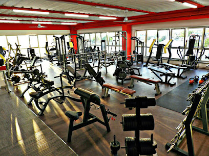 GYM - DREAM Fitness Club - SS16 Adriatica, 2197, 47042 Cesenatico FC, Italy