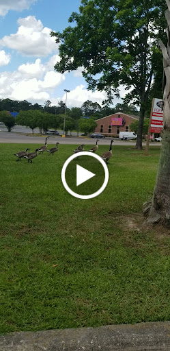 American Restaurant «Cracker Barrel Old Country Store», reviews and photos, 2920 Hospitality St, Tallahassee, FL 32303, USA