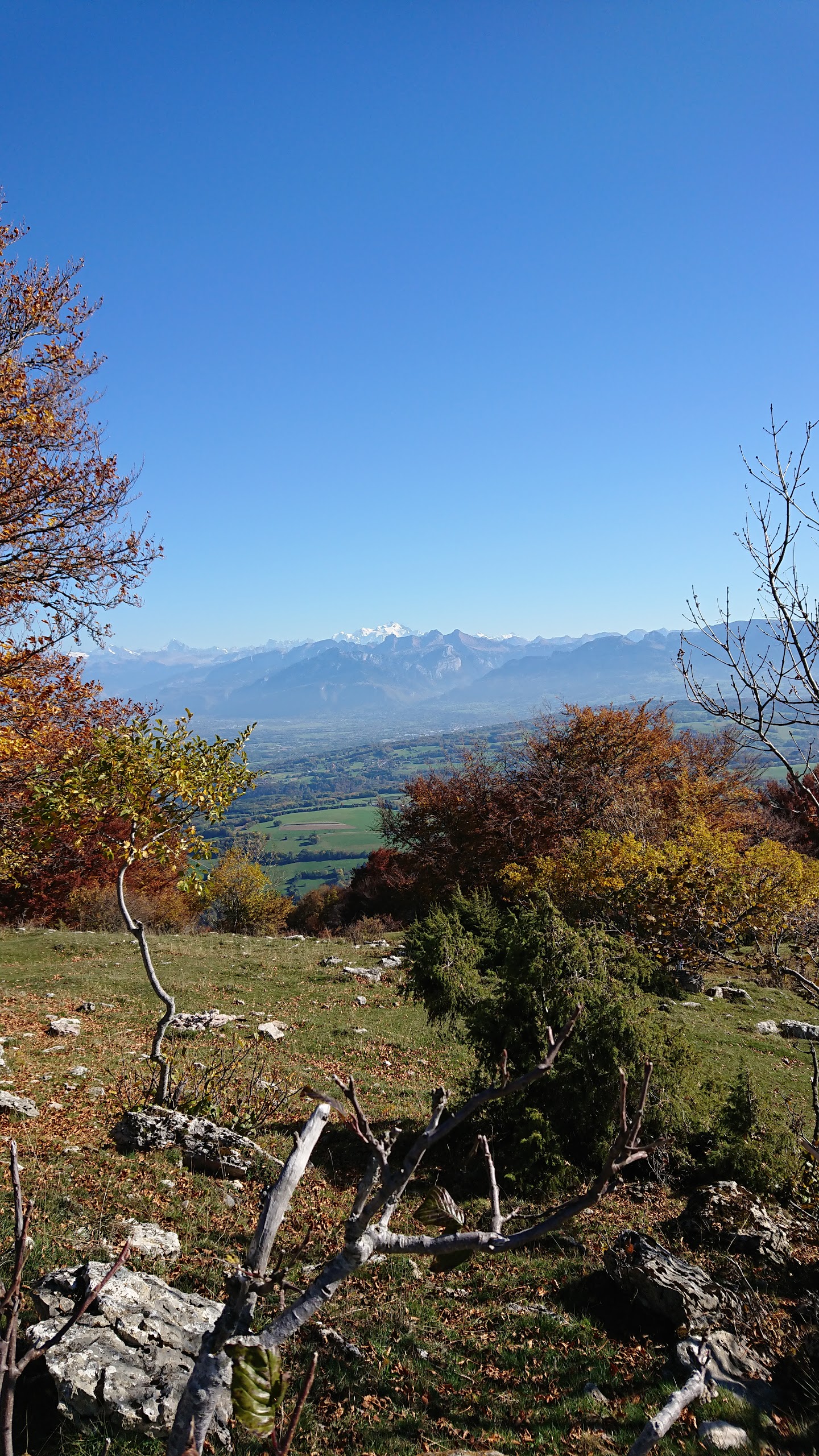 Photo n° 1 de l'avis de Bruno.l fait le 30/10/2017 à 11:45