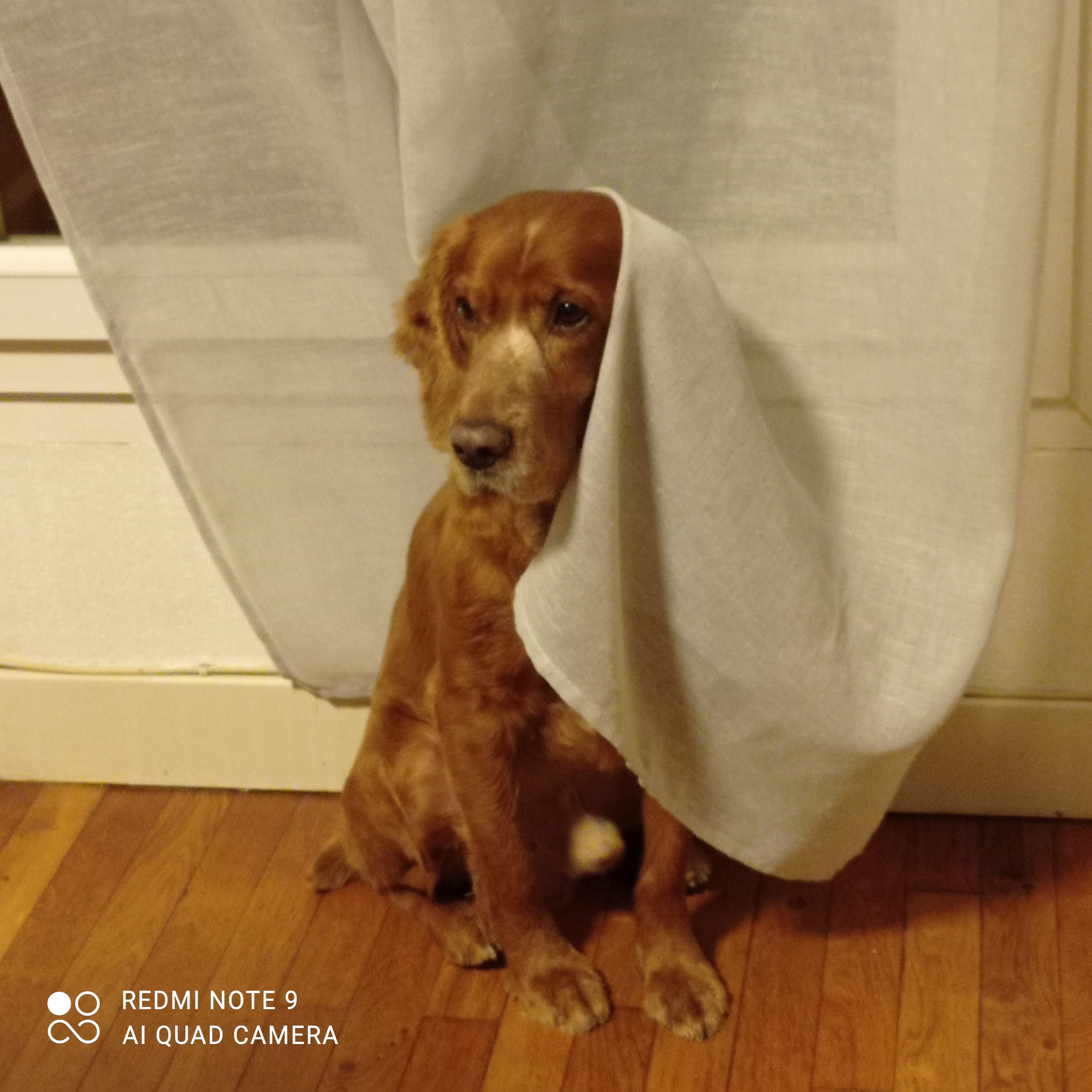 Photo n° 3 de l'avis de Catherine.l fait le 23/01/2021 à 18:03