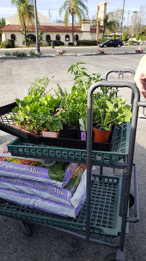 Gift Shop «Blue Hills Nursery & Gift Shop», reviews and photos, 16440 Whittier Blvd, Whittier, CA 90603, USA