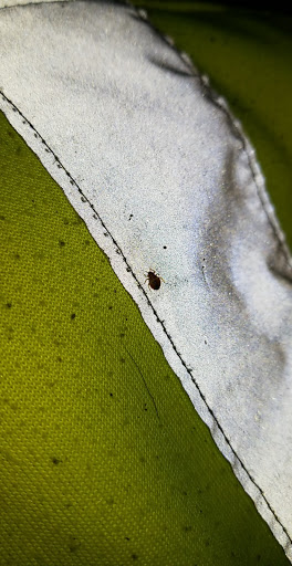 Movie Theater «AMC Classic Grove City 14», reviews and photos, 4218 Buckeye Pkwy, Grove City, OH 43123, USA