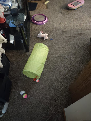 Pet Supply Store «PetSmart», reviews and photos, 8537 W Grand River Ave, Brighton, MI 48116, USA