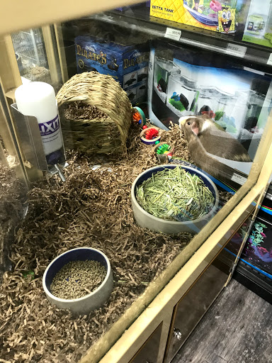 Pet Supply Store «Pet Supermarket, Inc.», reviews and photos, 1052 Peachtree Industrial Blvd, Suwanee, GA 30024, USA