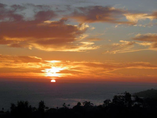 Laguna Beach Vacation Rentals - Coast View Paradise - Cottage for Rent